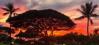 Maui Kamaole #I-106 Ground Flr, Garden View, A/C, Great Location - Ferienwohnung Wailea