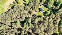 meet trees - B&B Rostki