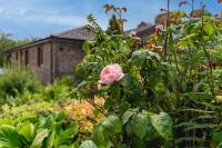 Lake View - Old Mill Cottages - B&B Ilfracombe