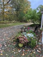 Pura Vida | A Calm Apt Escape Minutes from Camden - B&B Camden