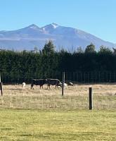 Whakatā - B&B Te Anau
