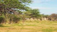 Eco-gamefarm, private self-catering chalets - B&B Otjikondo