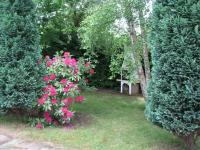 3-Raum-Wohnung mit Garten beste Strandlage in Cuxhaven - B&B Cuxhaven