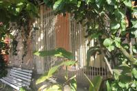 Ubatuba Surf Spot - B&B Ubatuba