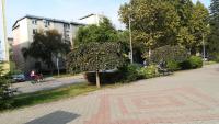 Libero Apartman - B&B Subotica