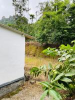 Sands Villa, Premium, Nature Escape, Scenic Views - B&B Ambalavayal