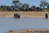 7 roomed boutique safari Lodge-Chobe Sunset Chalets - Ferienwohnung Lesoma