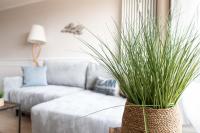 NEU! 2-Zimmer-Apartment Küstenkoje mit seitlichem Meerblick - B&B Büsum