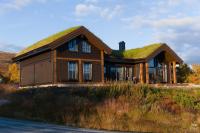 Hytte på Grotli nær Geiranger,Stryn,Lom, turstier - Ferienwohnung Grotli