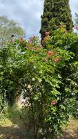 Harzer Domschatz-Auszeit Monteure - Einzelbetten - Bed and Breakfast Halberstadt