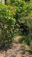 Harzer Domschatz-Auszeit Monteure - Einzelbetten - Bed and Breakfast Halberstadt