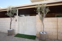 סוויטת אריאל - סוויטה משפחתית עם מרפסת בבית שאן - B&B Bet Shean