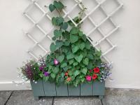 Smarhus Cottage in a peaceful rural location - Bed and Breakfast Westfield