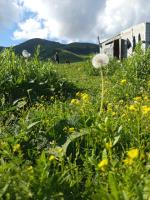 Zobolo House - B&B Jangy-Aryk