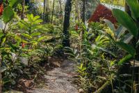 Gaia Nature Lodges at Bluff Beach - B&B Bocas del Toro