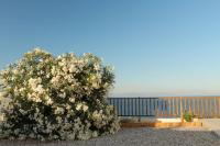 Oleander Villa - B&B Rafina