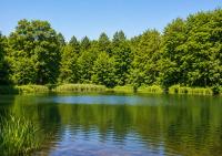 TheLittleHouse-By-The-Lake - B&B Hørsholm