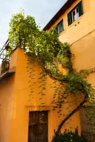 Appartamento con terrazza La Voliera di Bacco - Ferienwohnung Frascati