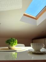 Appartamento Loft con 1 Camera da Letto 