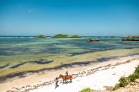 The Mirror House Boho 1BR Pool 5 Min to Beach - Ferienwohnung Watamu