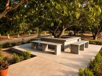 Auravanam Natural Organic Farm Stay - B&B Jagadēvipālaiyam