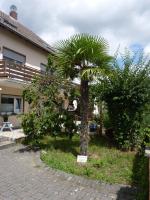 Studio Dell 'Arte for 2 - Bed and Breakfast Flörsheim