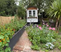 The Red Lion, Stodmarsh - B&B Canterbury