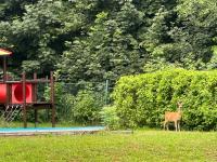Olé - B&B Zlatá Olešnice