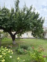 Chika Guesthouse - Chambres d'hôtes Bichkek