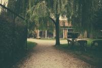 La Vigna Del Maestro - B&B