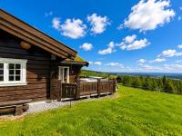 Dream mountain cabin with jacuzzi and views - Ferienwohnung Gol
