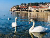 Janik Apartment Ohrid, City Center, Fast WiFi - B&B Ocrida