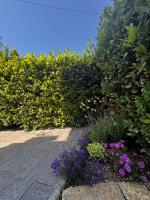 Casa Vacanze il Pettirosso - B&B Lucca