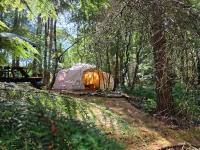 Bovey Heath Retreat - B&B Bovey Tracey