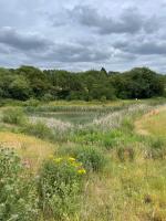 Rushes View Homestay - B&B Market Harborough