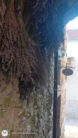 La Greciola - B&B Bagnone