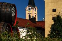 Bauernhofurlaub Eggcellence - B&B Teisendorf