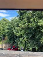 Entire Bedroom Flat in London Lewisham - B&B Londres
