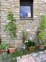 Ca'Lamma - Peaceful Country Retreat - B&B Casa Canovetta
