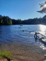 Forest lodge - Bed and Breakfast Lohja