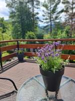 Apartamenty Cisowa Turnia- pomiędzy Doliną Kościeliską a Chochołowską - B&B Witów