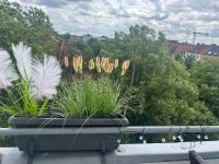 Stilvolle und gut ausgestattete 2-Zimmer Wohnung - B&B Hanóver
