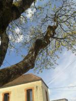 Maison ICI et LA - Ferienwohnung Venarey-les-Laumes