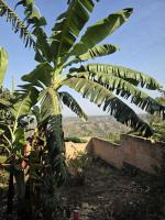 Akagera Sunset House - B&B Kabarondo