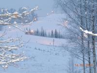 Apartamento - Planta baja