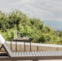 New Panorama Apartment FreYblick Pool Sauna - Bed and Breakfast Freyung