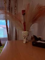 Apartman Ribica Ajan - B&B Sarajevo