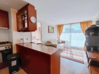 Espectacular! Departamento 1 Dormitorio - Viña del Mar - 3 personas - Chambres d'hôtes Viña del Mar