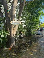 Beach Bum Bungalow - B&B Jensen Beach