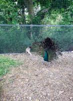Country House Villa delle Rose Agriturismo - B&B Rionero in Vulture